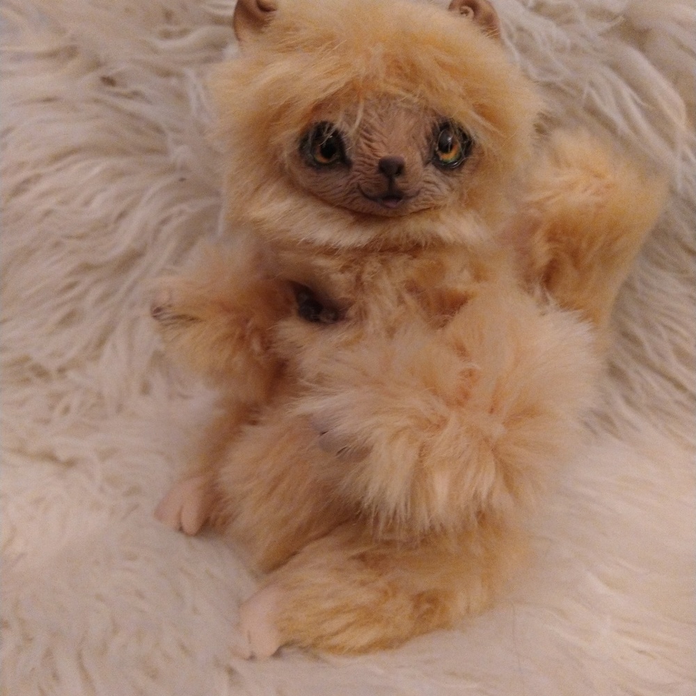 Meet your Posher, Louise